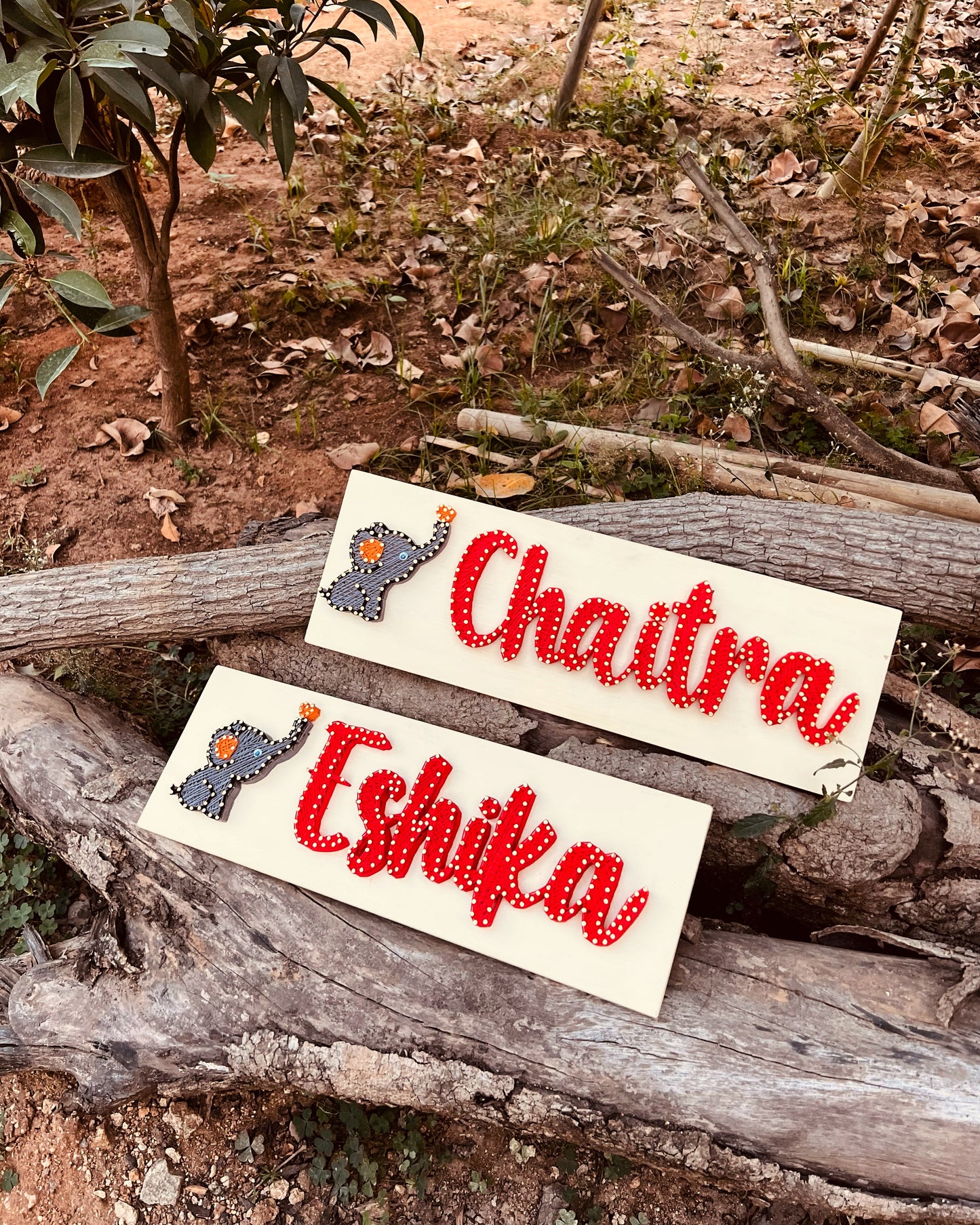 Nameplate With Cute Animal String Art