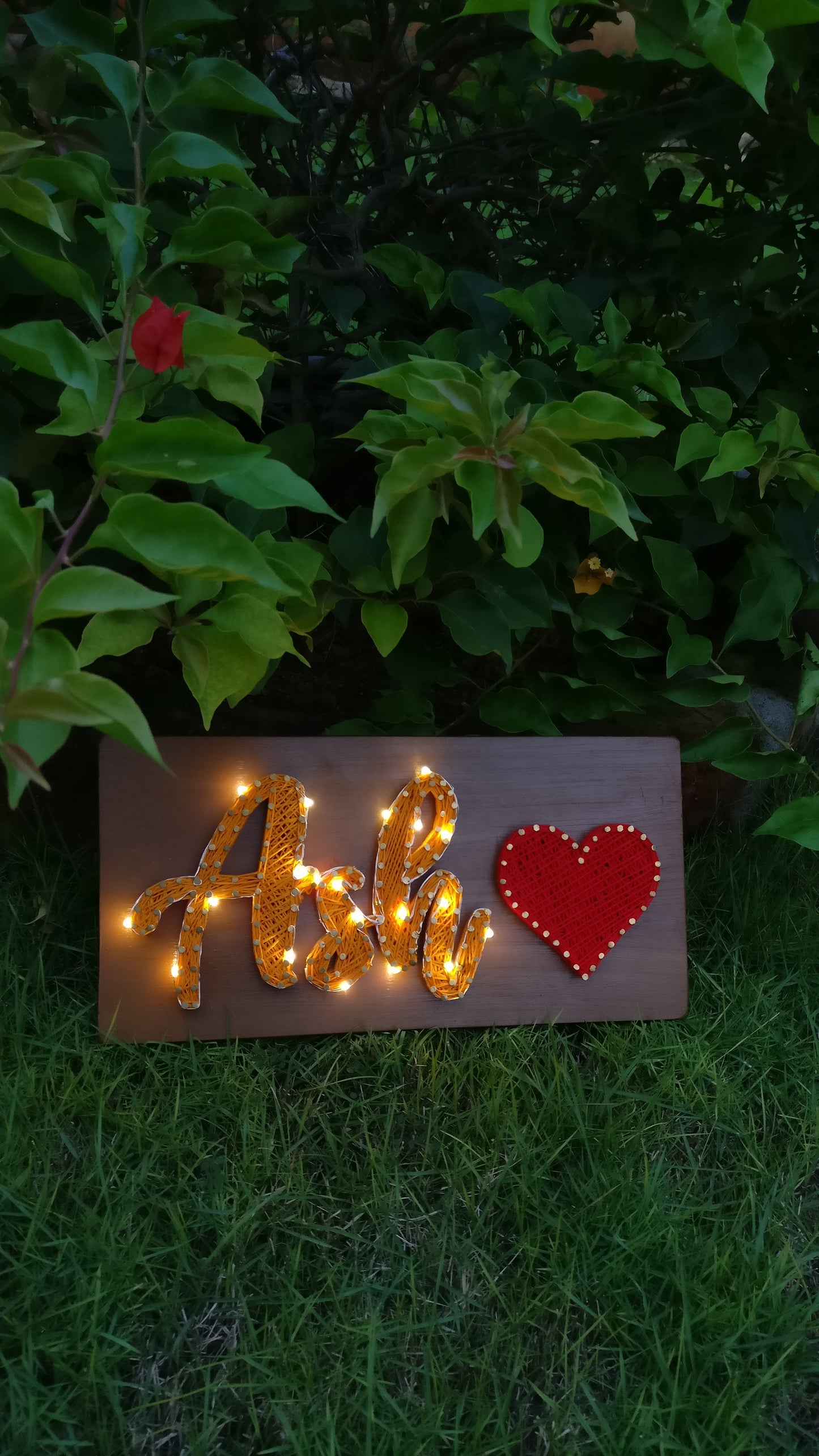 Nameplate With Lights String Art