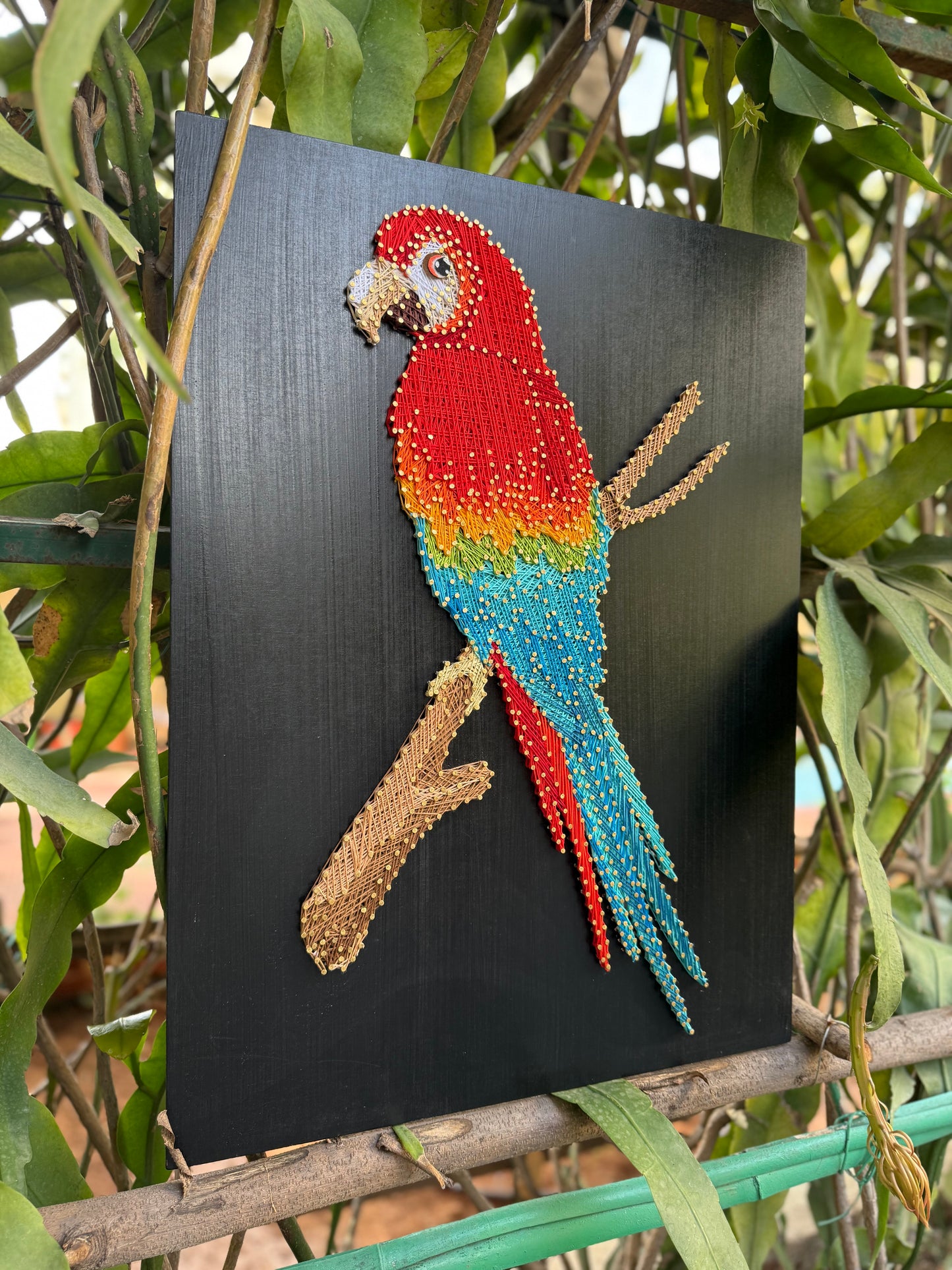 Macaw Bird String Art