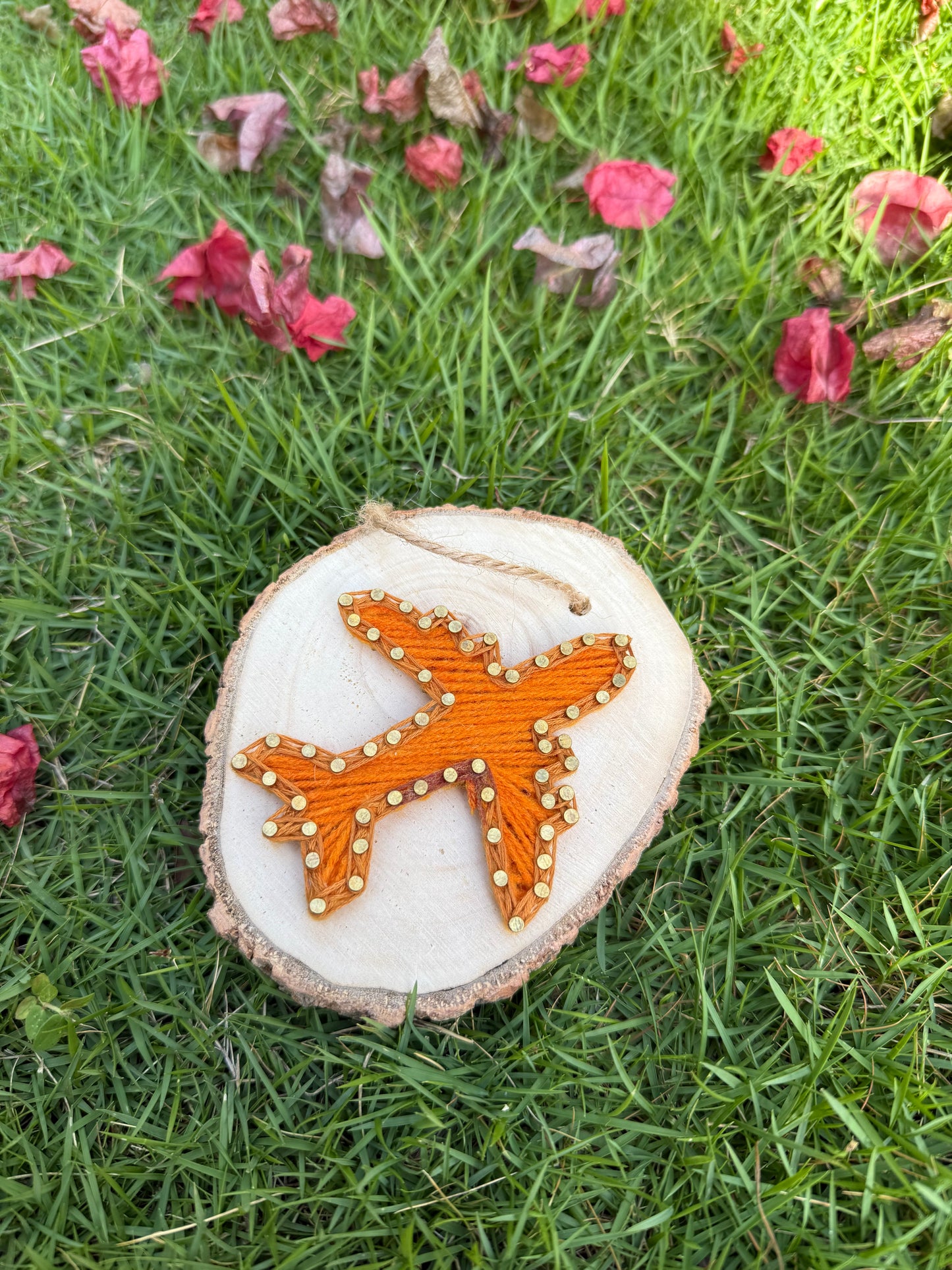 Flight String Art