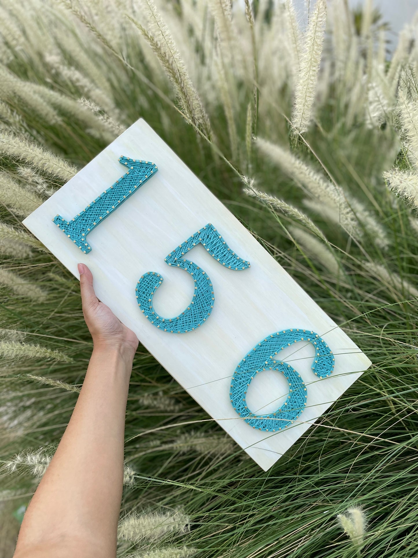 Numberplate String Art