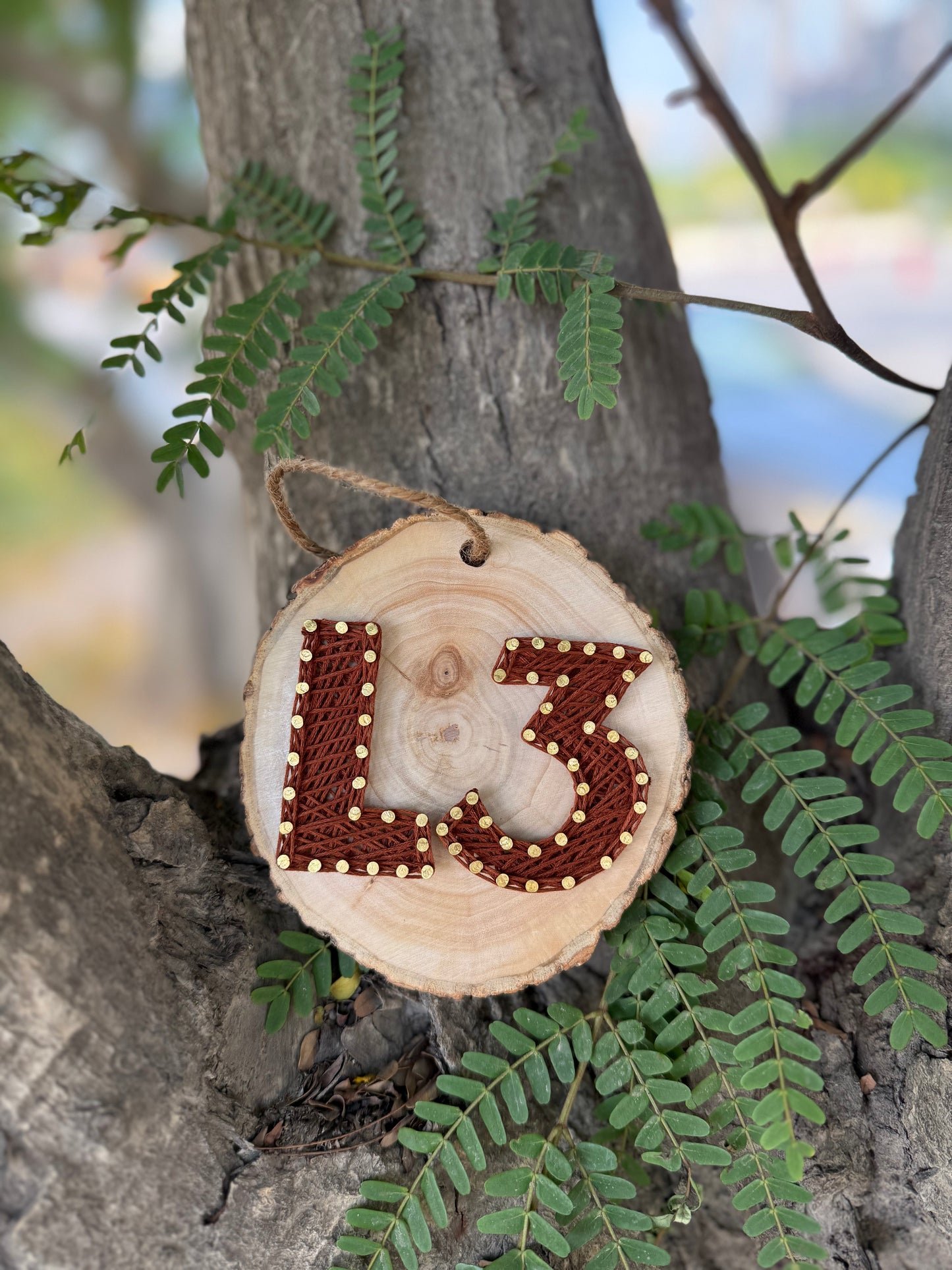 Numberplate Natural Wood String Art
