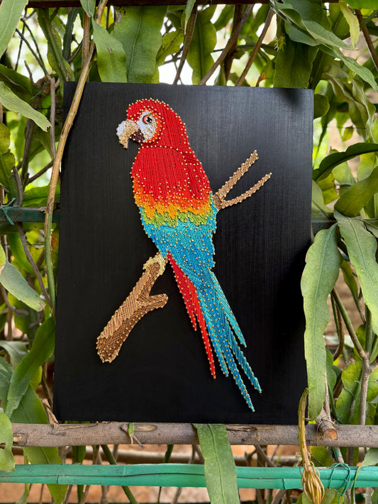 Macaw Bird String Art